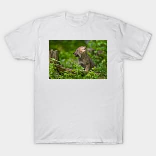 Timber Wolf Pup T-Shirt